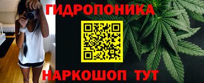 гидра Комсомольск-на-Амуре