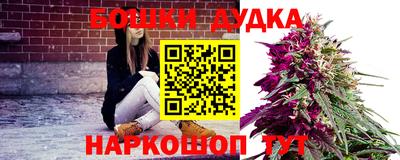 гидра Комсомольск-на-Амуре