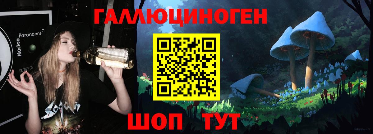 Галлюциногенные грибы мицелий  где продают наркотики  Вход с VPN  Будённовск  Галлюциногенные грибы Psilocybe 